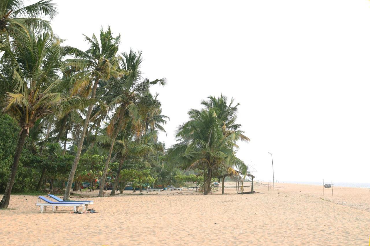 Marari Eclipse Homestays Alappuzha Dış mekan fotoğraf